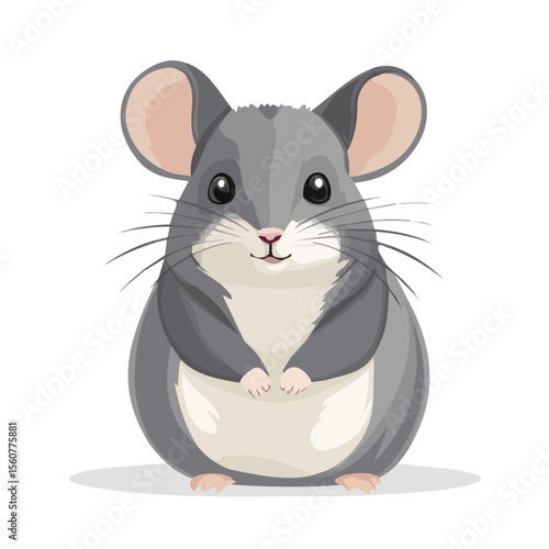 Minimal flat vector of a Chinchilla, 2D icon-style illustration on white background
