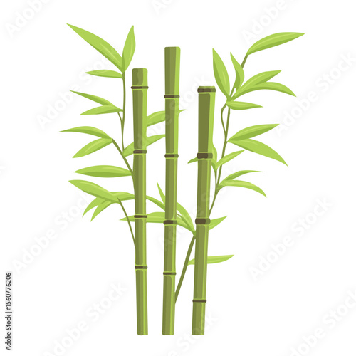 Bamboo, flat style 2D vector image, isolated on a white background