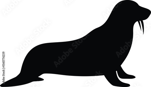 Silhouette illustration of a large marine mammal walrus on a white background simple clean design