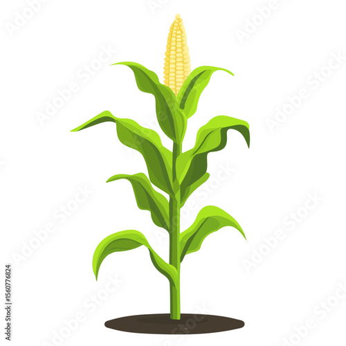 Minimal flat vector of a Corn Plant, 2D icon-style illustration on white background