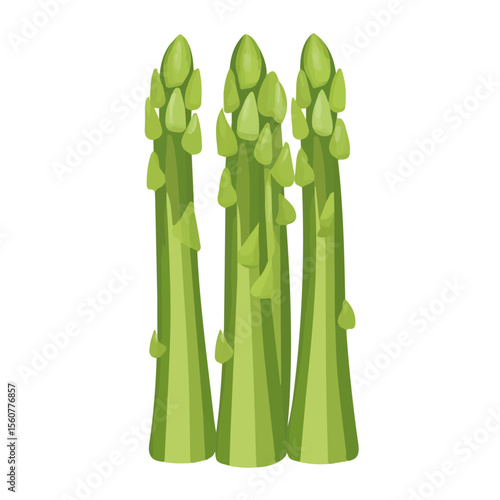 Asparagus, flat style 2D vector image, isolated on a white background
