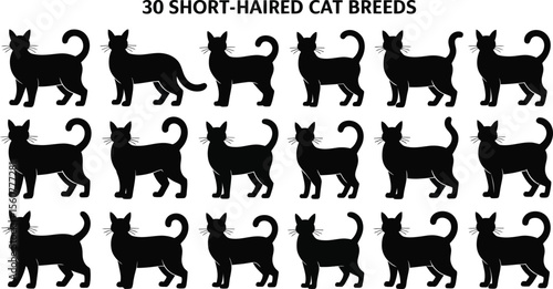 Vector silhouette collection of animals including dogs cats horses and wildlife shapes