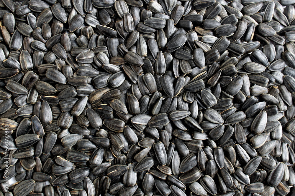 Texture of many sunflower seeds. Texture of many sunflower seeds.