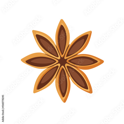 Anise, flat style 2D vector image, isolated on a white background