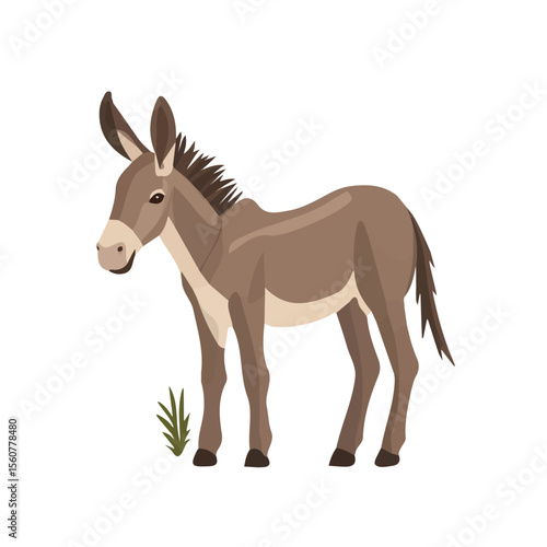 2D flat vector illustration of a Burros Tail in icon style, isolated on white background