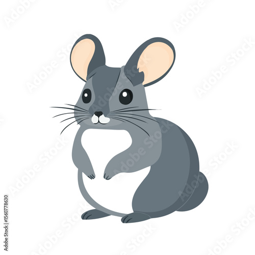Chinchilla, flat style 2D vector image, isolated on a white background