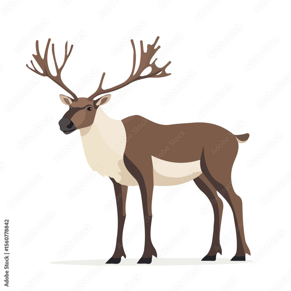 Fototapeta premium Caribou, flat style 2D vector image, isolated on a white background