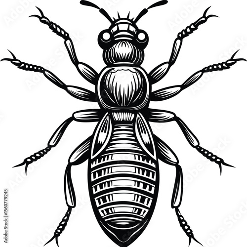 Detailed Line Art Illustration of a Termite A High-Resolution Vector Graphic for Design Projects