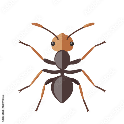 Flat 2D Ant illustration, vector graphic in icon style, on white background