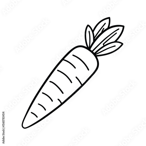 carrot line art vector illustration