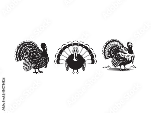 Three black silhouette turkeys displaying feathers isolated on white background