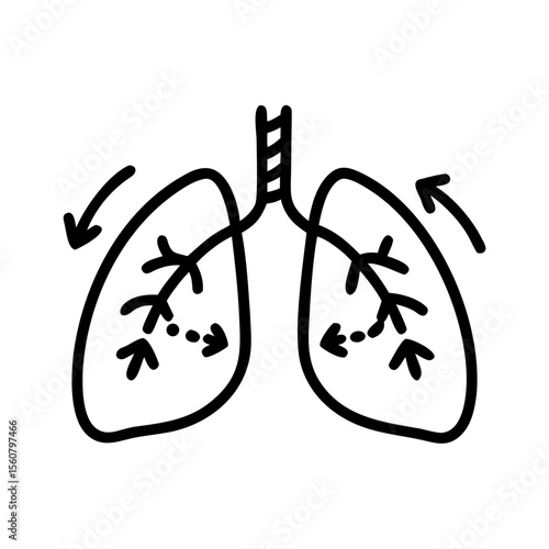 Lungs with Clean Arrows for Respiratory System on Transparent Background