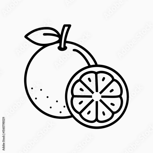 Orange fruit line art illustration, for websites and blogs