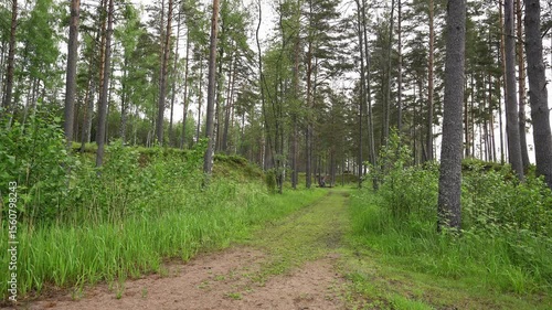 Experience the tranquility of Porvoo, Finland during springtime, where lush greenery meets calm sea waters. Enjoy the soothing sounds of nature and the peaceful atmosphere.	