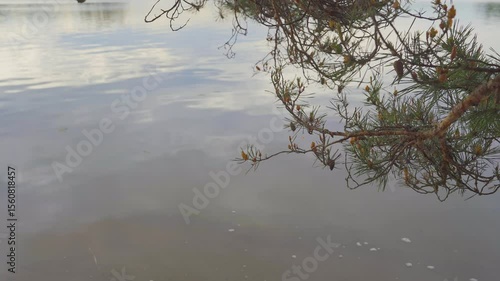 Experience the calming atmosphere of Porvoo, Finland, where nature unfolds in spring. Enjoy the gentle waves and picturesque views that evoke a sense of peace and tranquility.	