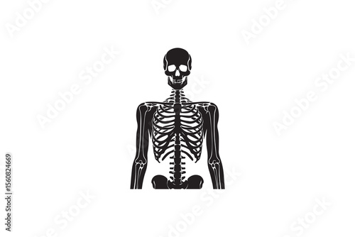 A human skeleton  silhouette with a simple, understated design set against a white background 
