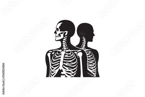 A human skeleton  silhouette with a simple, understated design set against a white background 