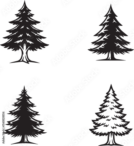 vector illustration of spruce tree
