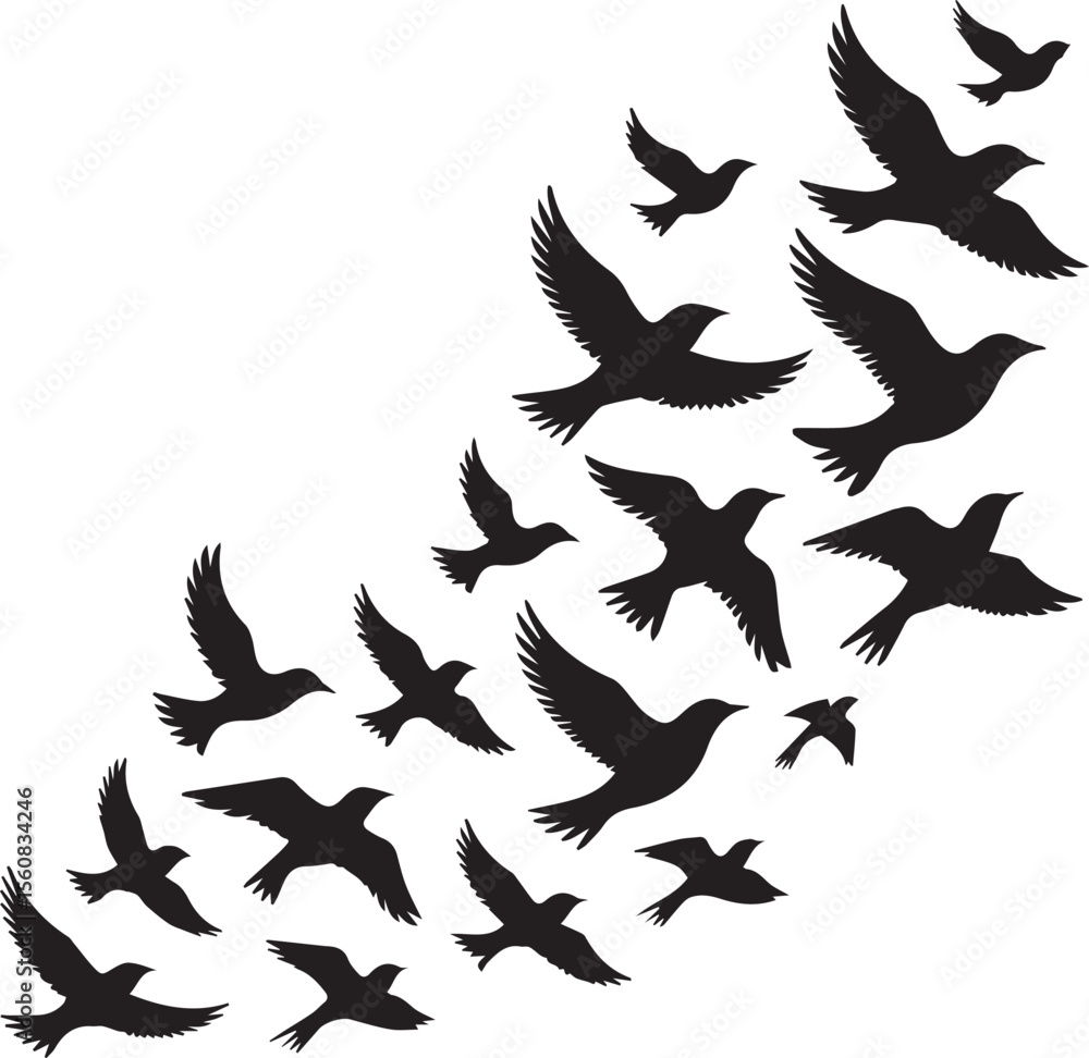 Obraz premium Birds Silhouette Vector Illustration