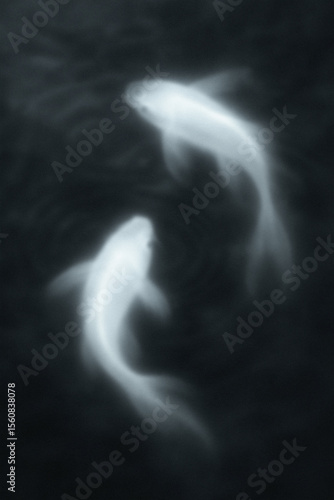 Two fishes gradient poster. Aura background.