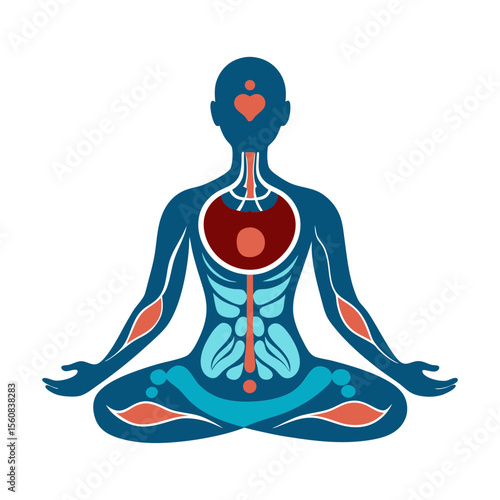 A vector illustration of meditation with internal body organs.