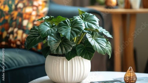 A lush, green houseplant in a white ribbed pot sits on a white table, amidst a cozy interior setting