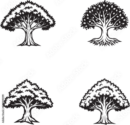 vector illustration of sycamore tree