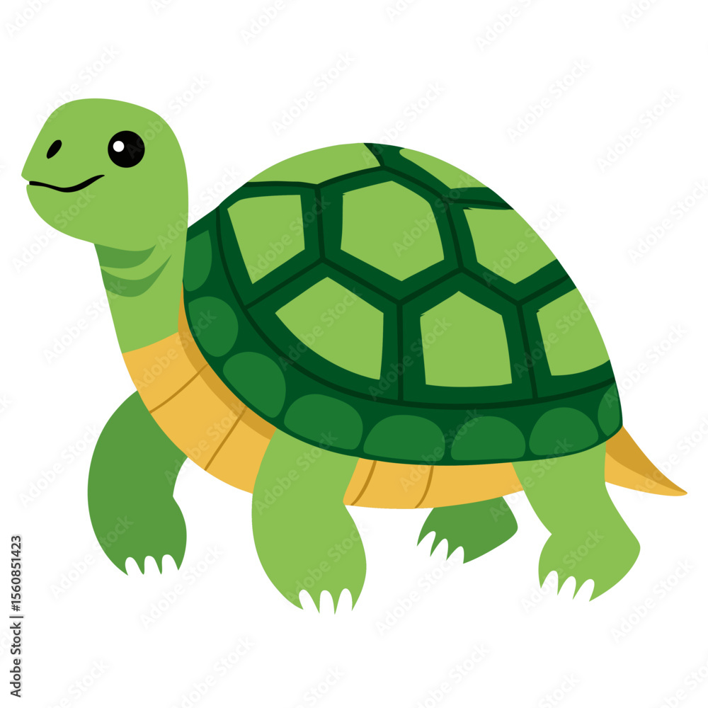 Obraz premium Cute cartoon turtle. Green reptile . Suitable for educational poster, logo, children's books and encyclopedias. Isolated vector illustration on white background. Side view.