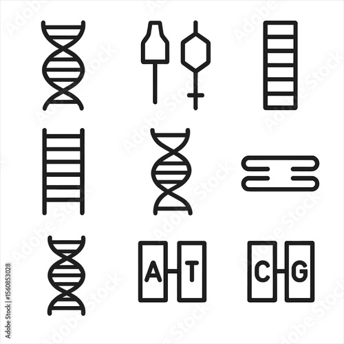 DNA Icons Design. Outline style icons of DNA Strand Basics: double helix, nucleotide pair, base sequence, DNA ladder, twisting