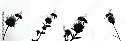Set of bees pollinating flowers silhouettes against a white background
