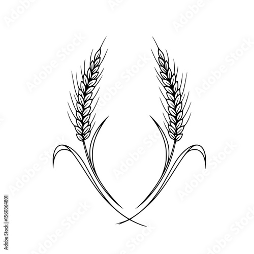 Line icon of wheat ears in minimalistic black and white design  