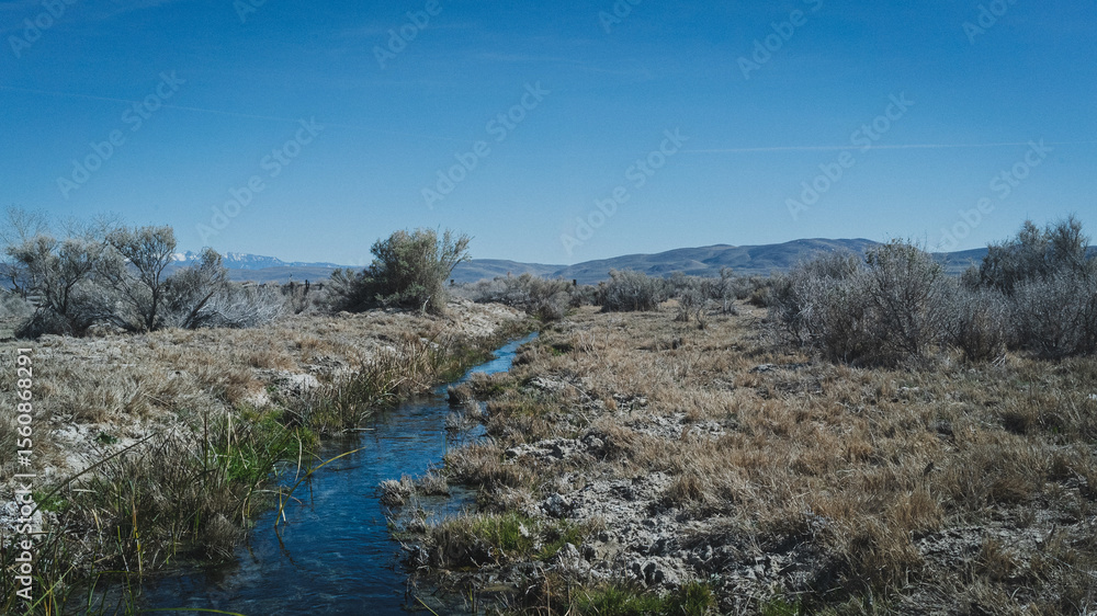Fototapeta premium Brook near hot springs in the Nevada Desert 