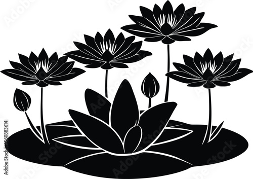Amazonian Water Lilies Silhouette, Water Lily Wetland Scene Silhouette