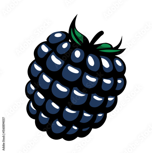 Fresh blackberry with green leaves, vector illustration on transparent background