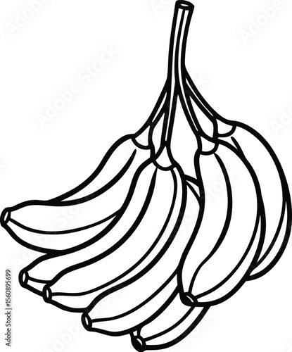 A realistic bunch of ripe yellow bananas hanging from a green stem isolated on white background isolated on transparent background