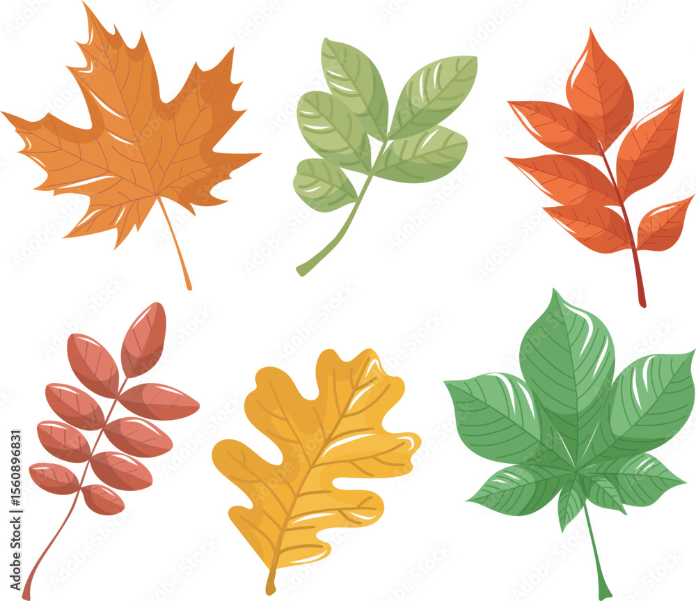 Naklejka premium Autumn leaves collection on a white background