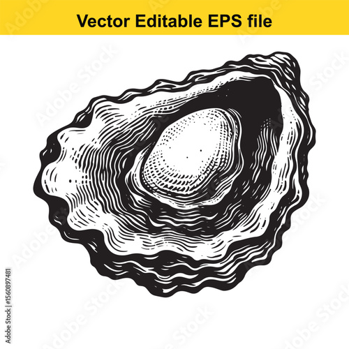 Elegant Oyster Shell Hand Drawn Illustration for Seafood Menu and Gourmet Food Promotion An intricate vector graphic of an oyster presenting culinary delicacy and seaside freshness Suitable for luxury