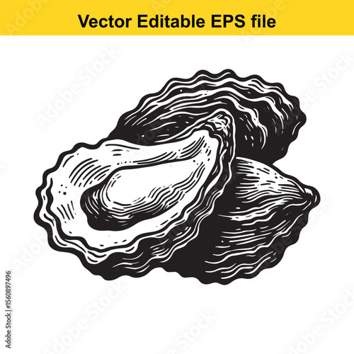 Elegant Oyster Shell Hand Drawn Illustration for Seafood Menu and Gourmet Food Promotion An intricate vector graphic of an oyster presenting culinary delicacy and seaside freshness Suitable for luxury