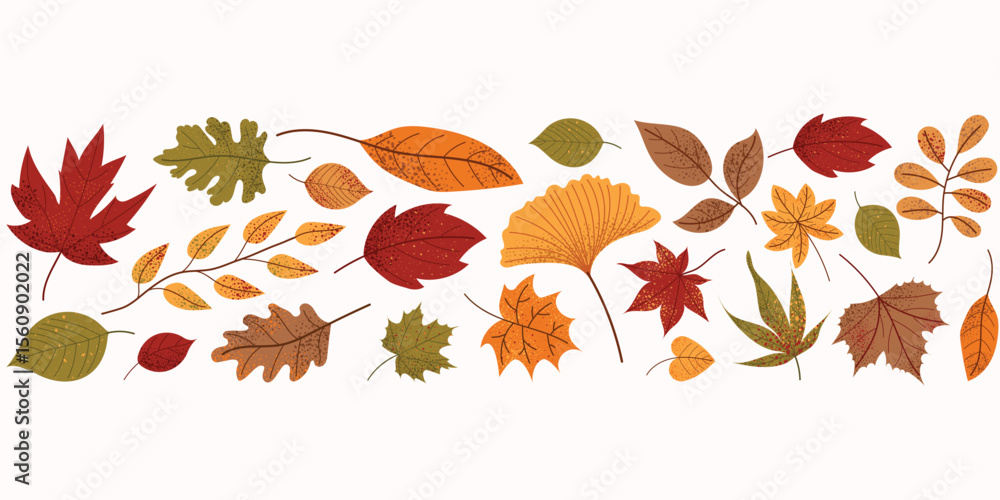 Obraz premium Set of colorful autumn leaves. Flat vector illustration with maple, oak, birch, chestnut and ginkgo leaves. Seasonal autumn design elements isolated on white background. Horizontal botanical banner.