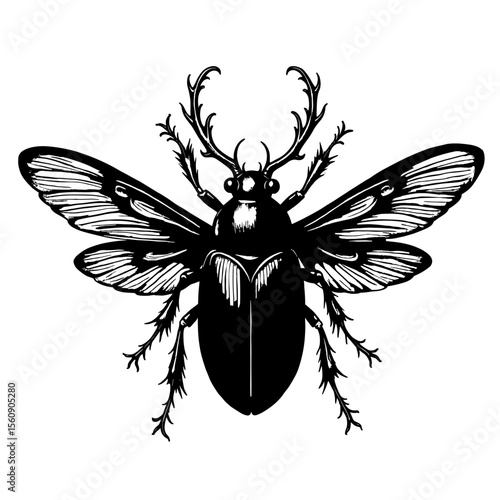 A detailed black and white illustration of a stag beetle showcases its intricate exoskeleton and unique antlers, captured from an overhead perspective.
