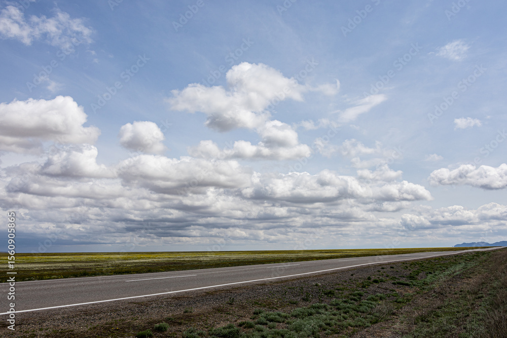 Fototapeta premium Spring steppe in Kazakhstan with road and clouds