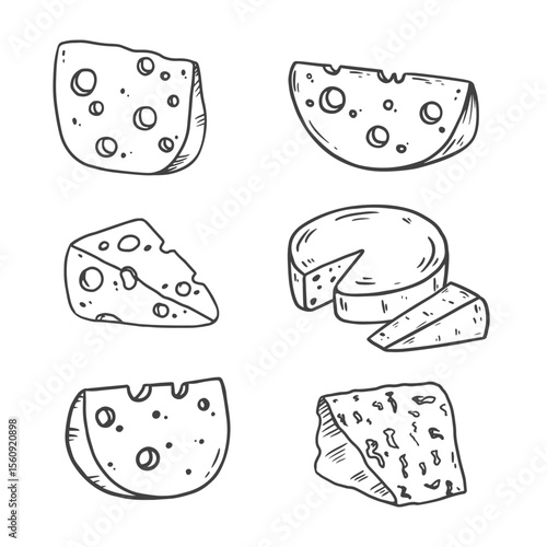 Cheese in sketch style, black and white illustration. Slice of cheese isolated on white. Different types of cheese. Food Vector illustration
