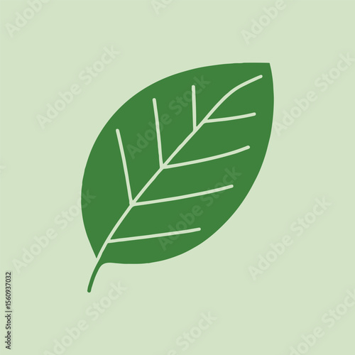 Illustration of a simple green leaf with white veins on a light green background in a flat design