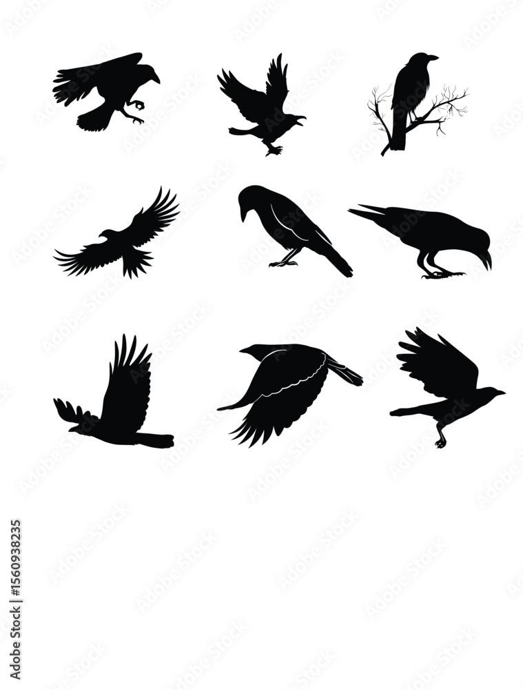 Obraz premium Soaring silhouettes, a flight of fancy