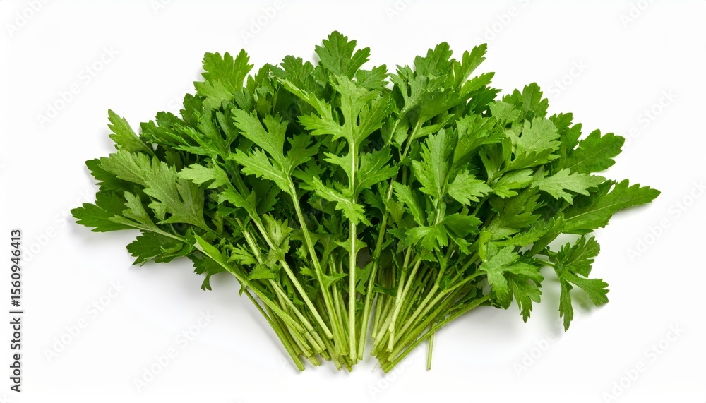 Fresh garland chrysanthemum leaves, vibrant green, arranged on a clean white background Fresh garland chrysanthemum leaves, vibrant green, arranged on a clean white background