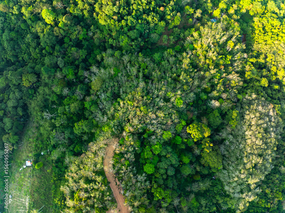 Naklejka premium High angle view mountains rainforest green background