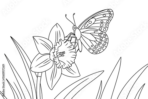 Butterfly on a daffodil, a delicate spring scene.
