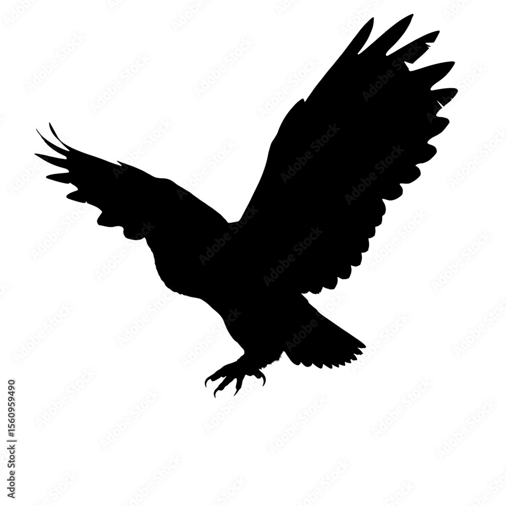 Obraz premium Black silhouette owl open wings nocturnal design