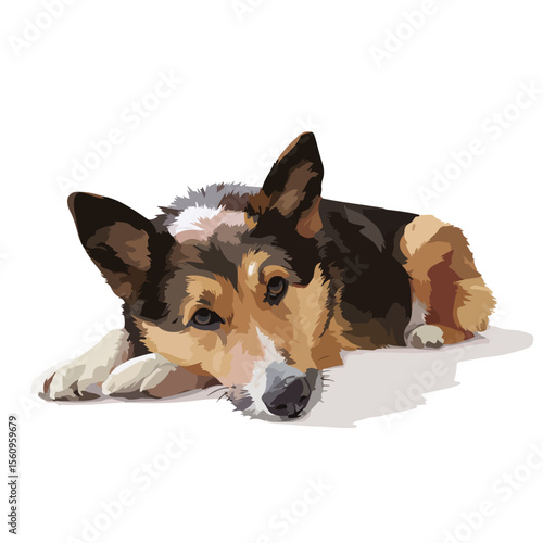 vector illustration of dog isolated in White Background, dog vector
