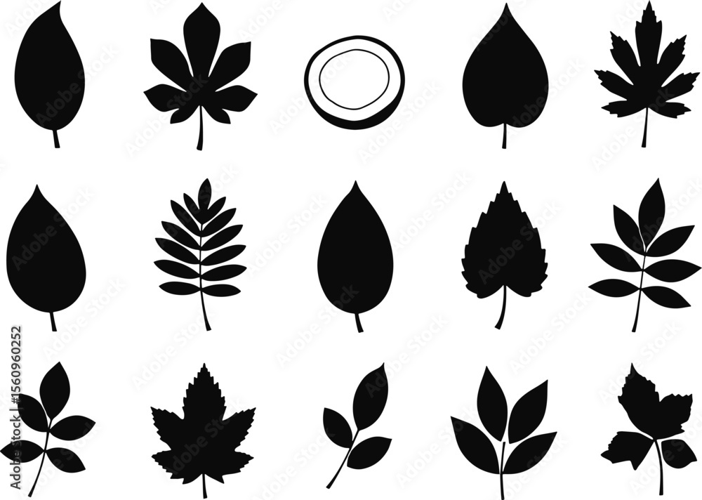 Fototapeta premium Collection of black leaf silhouettes leaves nature